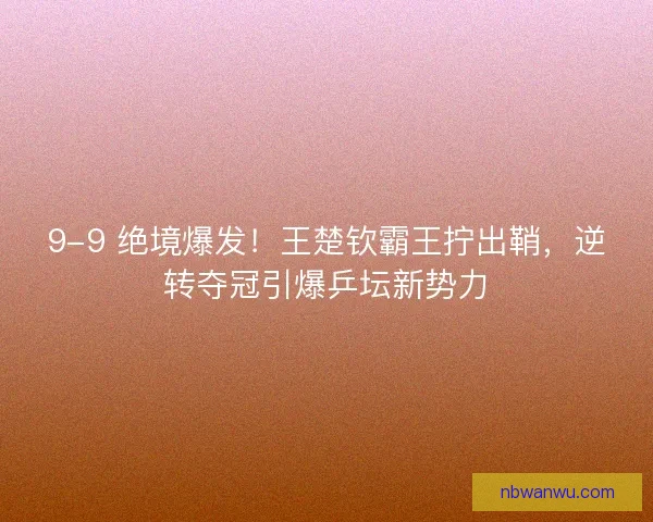 9-9 绝境爆发！王楚钦霸王拧出鞘，逆转夺冠引爆乒坛新势力